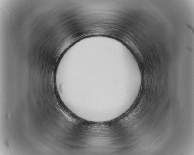 X0000097800842200804110922