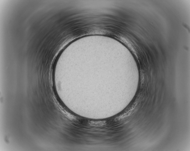 X0000097800843200804110922