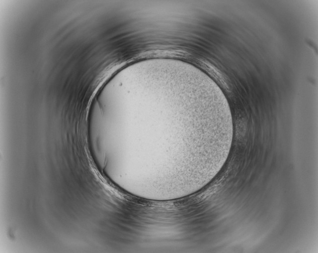 X0000097800844200804110922