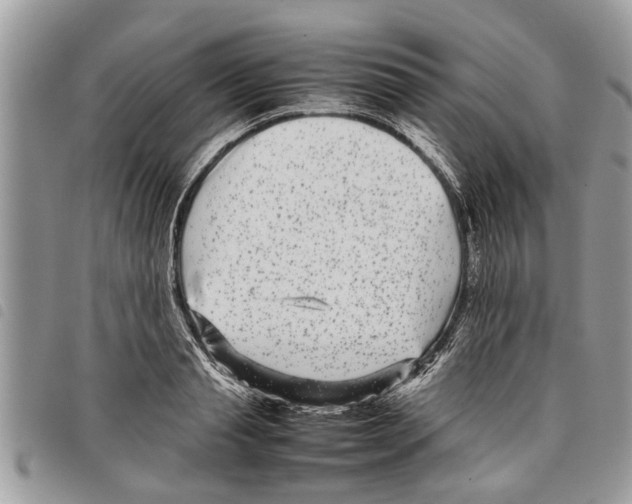 X0000097800845200804110922