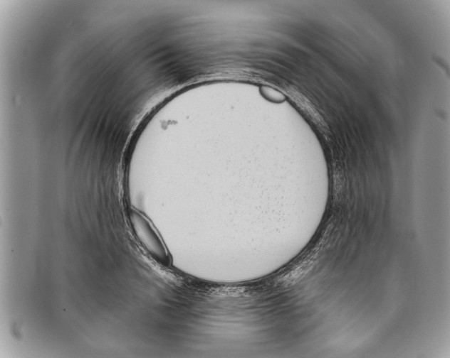 X0000097800846200804110922