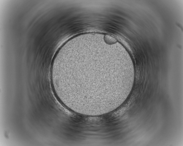 X0000097800847200804110922