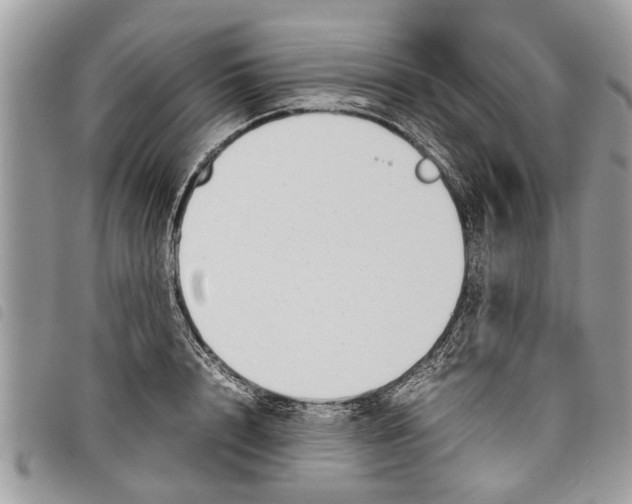 X0000097800848200804110922