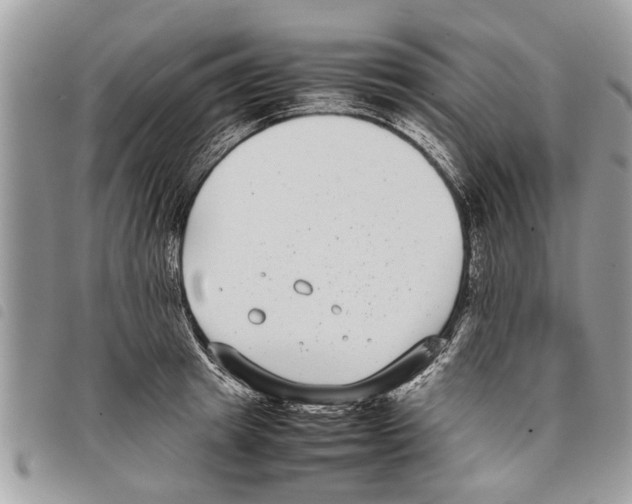 X0000097800849200804110922