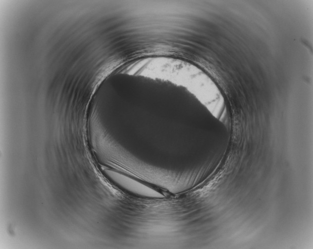 X0000097800850200804110922