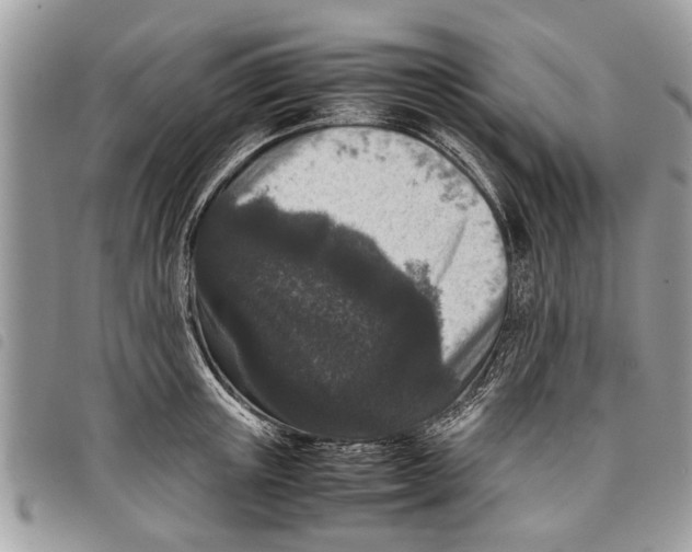 X0000097800851200804110922