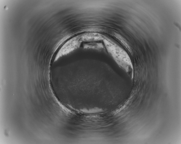 X0000097800853200804110922