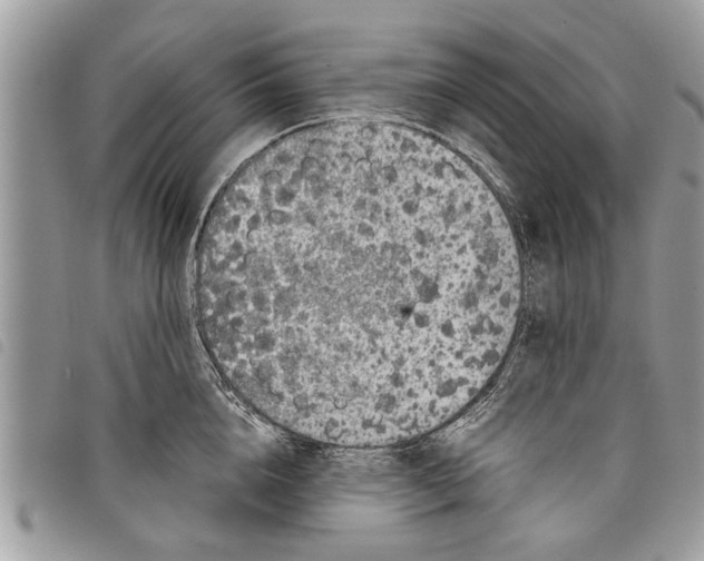 X0000097800856200804110922