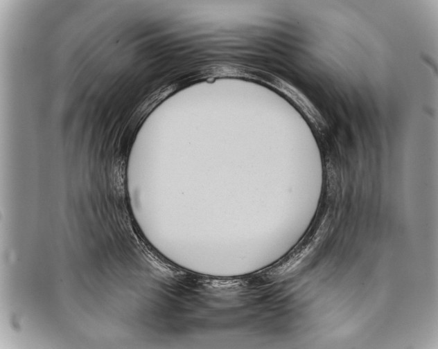 X0000097800857200804110922