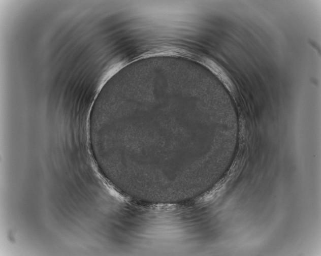 X0000097800858200804110922