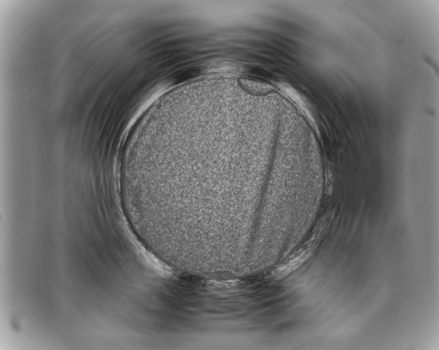 X0000097800859200804110922