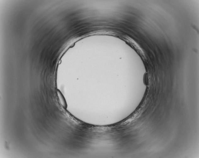 X0000097800860200804110922