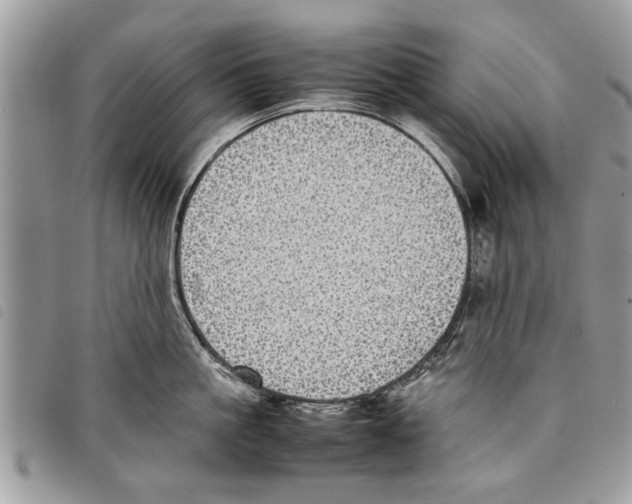 X0000097800861200804110922