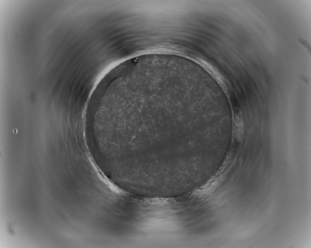 X0000097800862200804110922