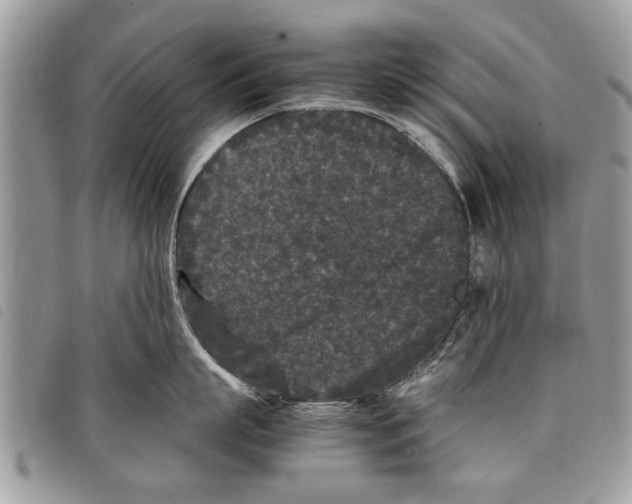 X0000097800863200804110922