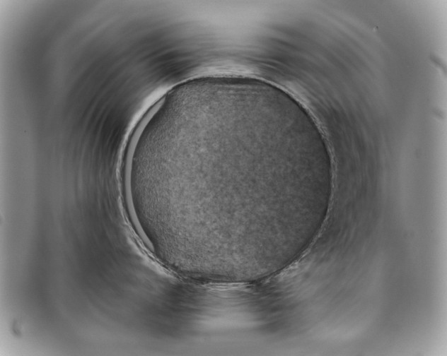 X0000097800864200804110922