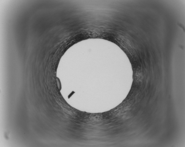 X0000097800865200804110922