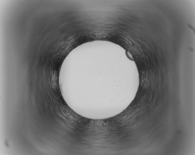 X0000097800866200804110922