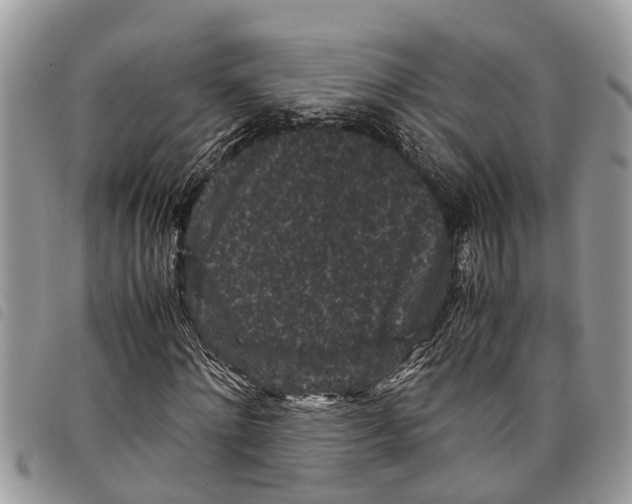 X0000097800868200804110921