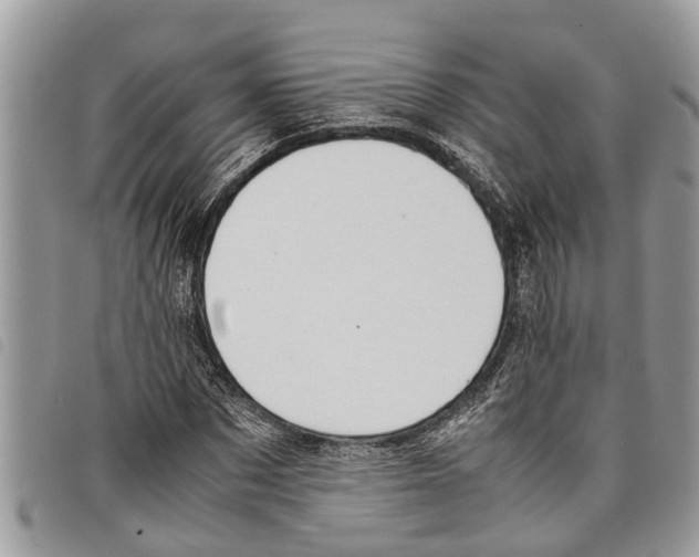 X0000097800873200804110921