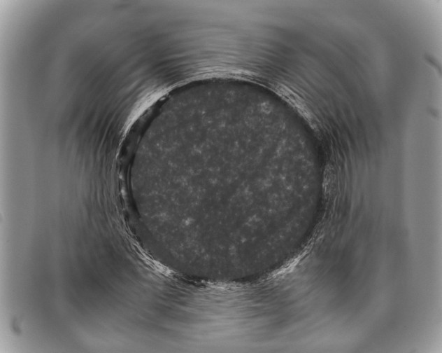 X0000097800877200804110921