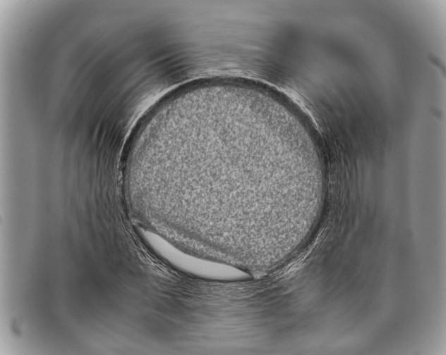 X0000097800879200804110921