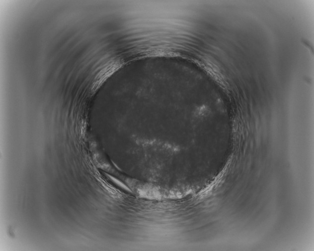 X0000097800881200804110921