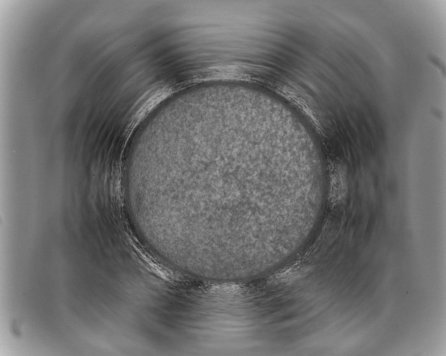 X0000097800882200804110921