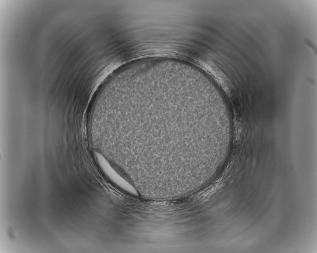 X0000097800883200804110921