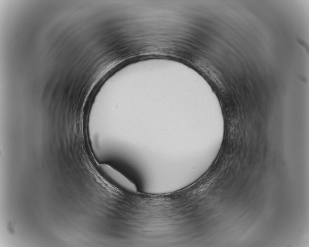 X0000097800884200804110921