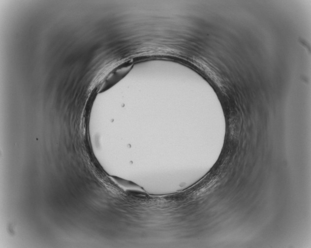 X0000097800885200804110921