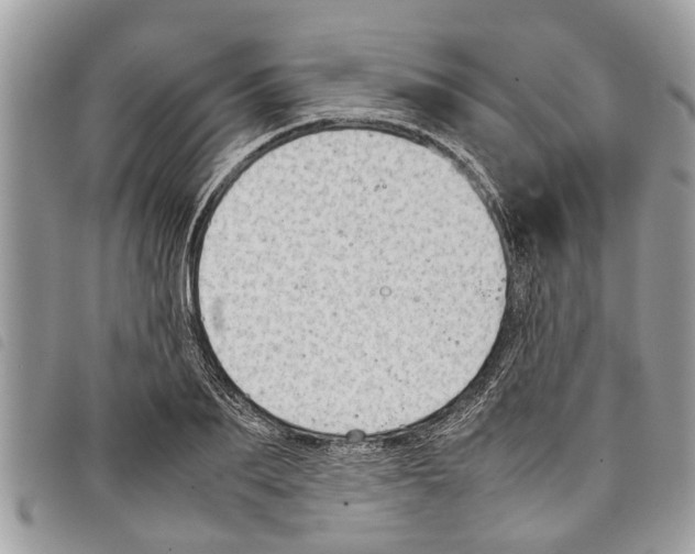 X0000097800887200804110921