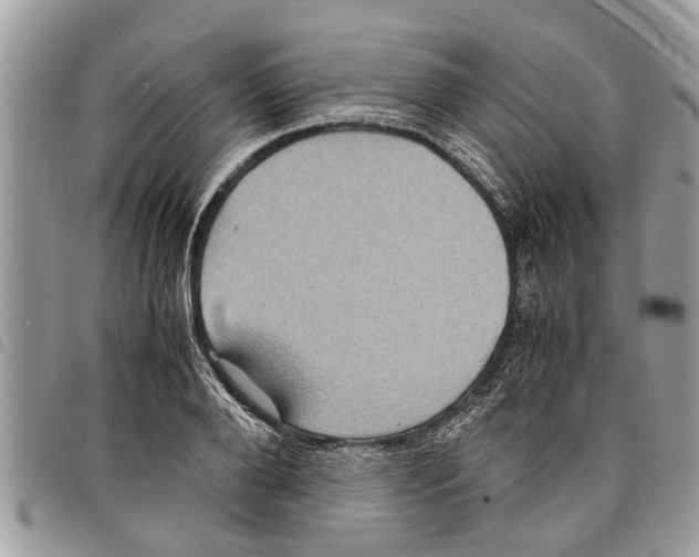 X0000097800888200804110921