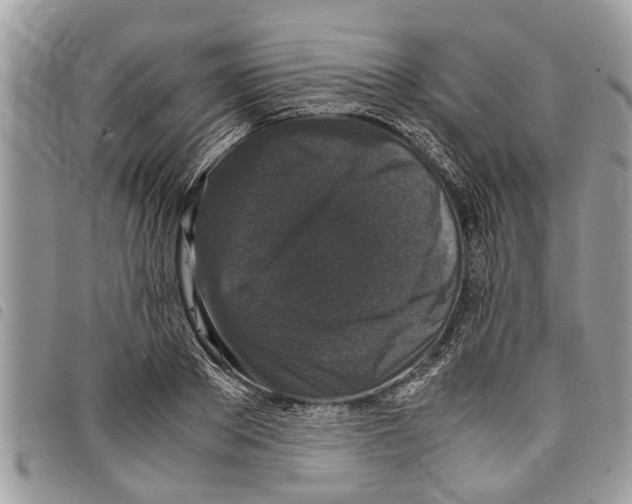 X0000097800889200804110921