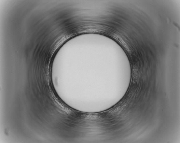 X0000097800890200804110921