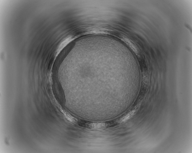 X0000097800893200804110921