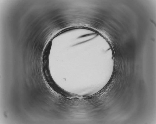 X0000097800895200804110921