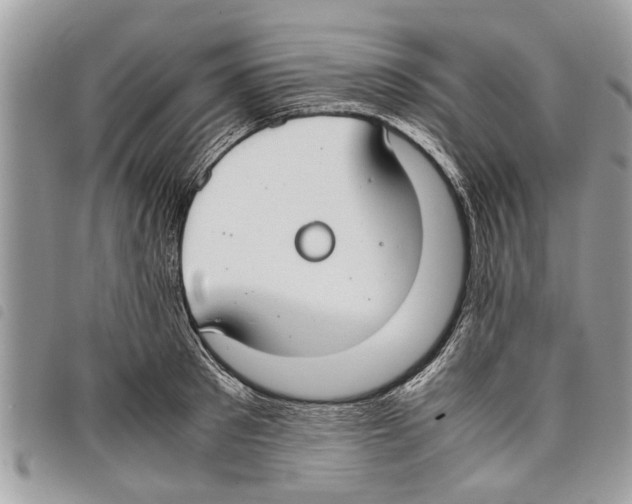 X0000097800897200804110921