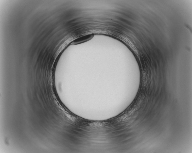 X0000097800898200804110921