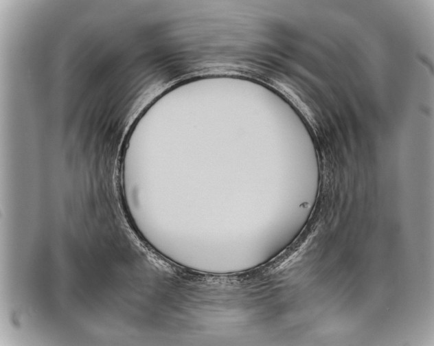 X0000097800901200804110921