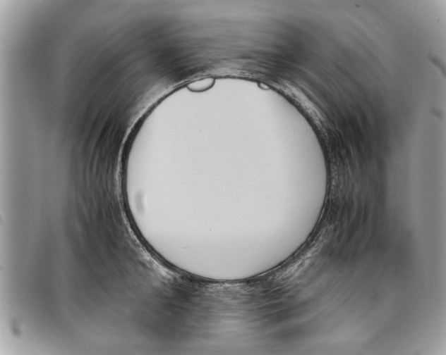 X0000097800902200804110921