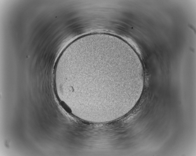 X0000097800903200804110921