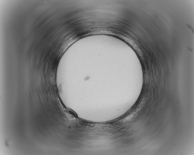 X0000097800905200804110921