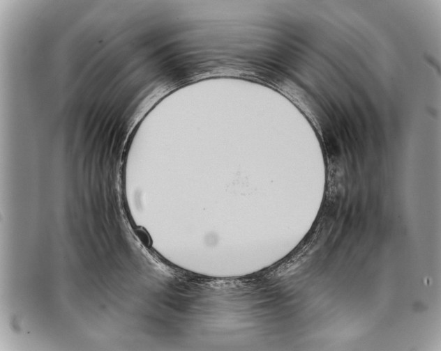 X0000097800906200804110921