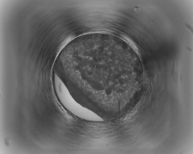 X0000097800907200804110921