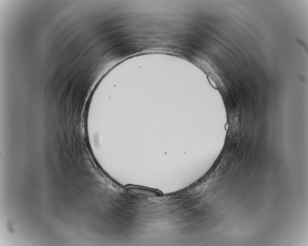 X0000097800908200804110921