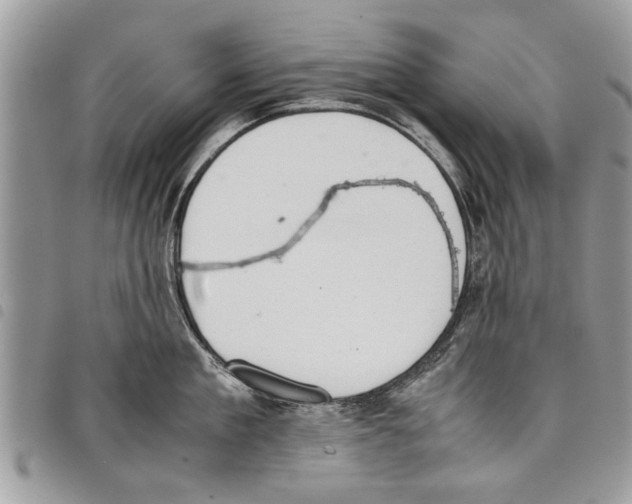 X0000097800909200804110921