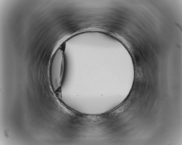 X0000097800910200804110921