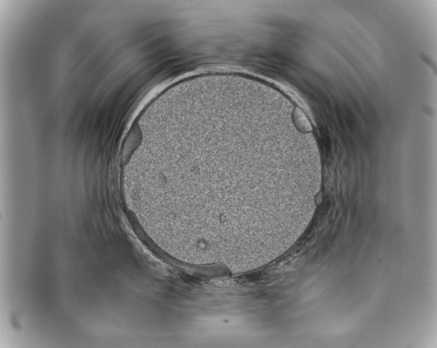 X0000097800911200804110921