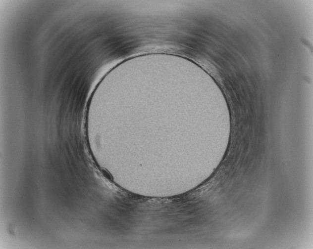 X0000097800912200804110921